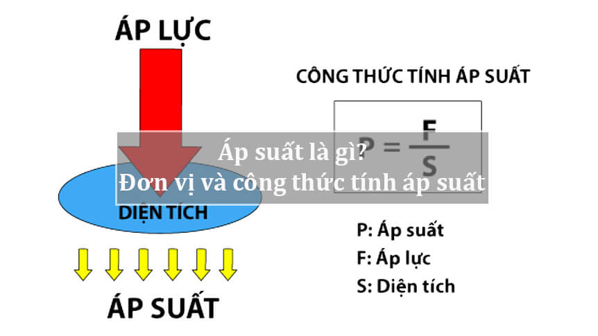 P Su T L G N V V C Ng Th C T Nh P Su T