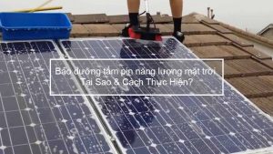 Bảo dưỡng tấm pin năng lượng mặt trời - Tại Sao & Cách Thực Hiện?